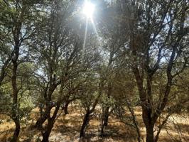 Parcela en venta en el pantano de Valdesalor photo 0