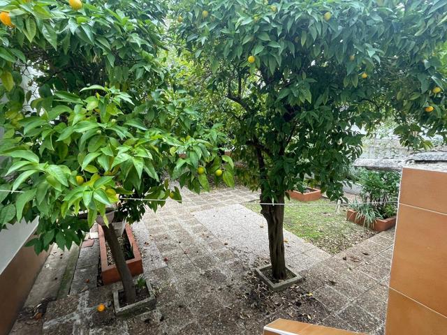 Exclusivo piso con amplio jardín en el corazón de Cáceres photo 0