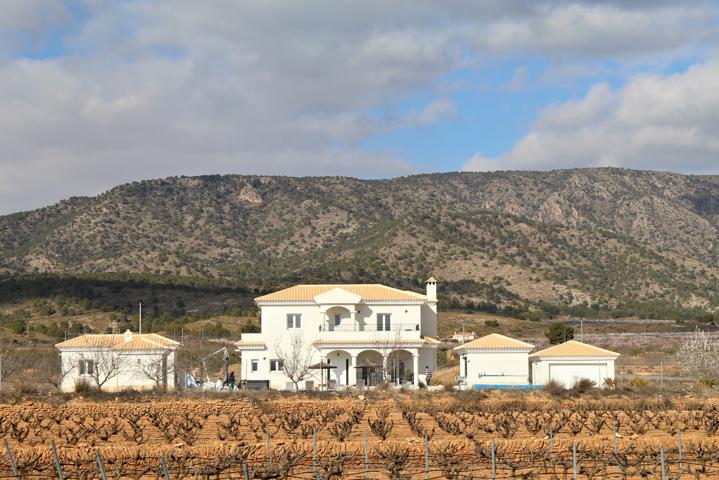 Villa mediterránea de 4-5 dormitorios, rodeada de naturaleza en 10.000 m2 en Pinoso. photo 0