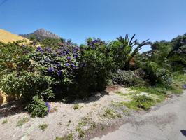 TERRENOS MARYVILLA photo 0
