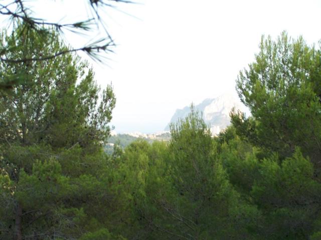 Venta. Parcela rústica en Benissa photo 0