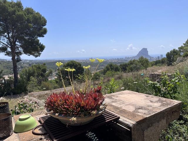 FINCA RUSTICA CON PRECIOSAS VISTAS A LA BAHIA DE CALPE photo 0
