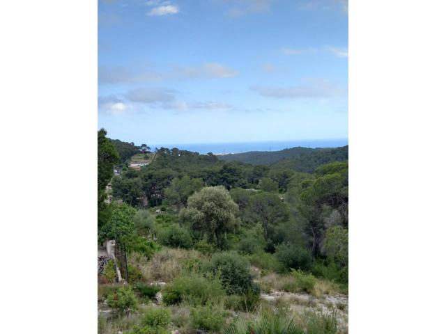Solar en venta en Mas Trader-Corral d'en Tort-Corral d'en Cona photo 0
