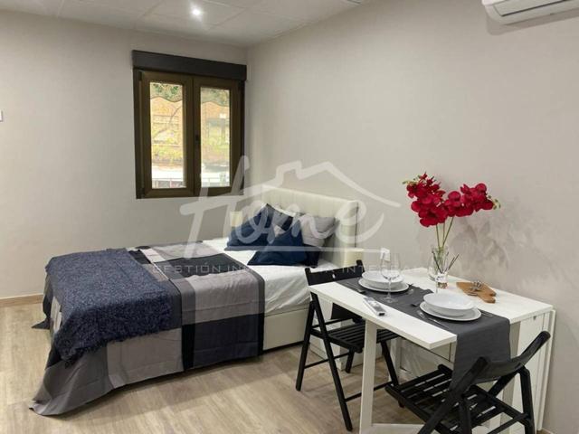Estudio en alquiler en Pueblo Nuevo photo 0