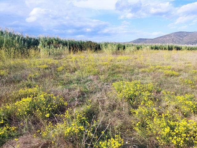 Terreno Urbanizable En venta en Pueblo 22, Palau - Saverdera photo 0