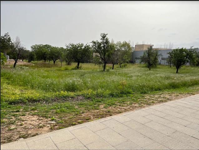 Terreno Urbanizable En venta en Establiments - Son Sardina, Palma De Mallorca photo 0