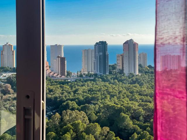PISO CON ENCANTO EN PONIENTE photo 0