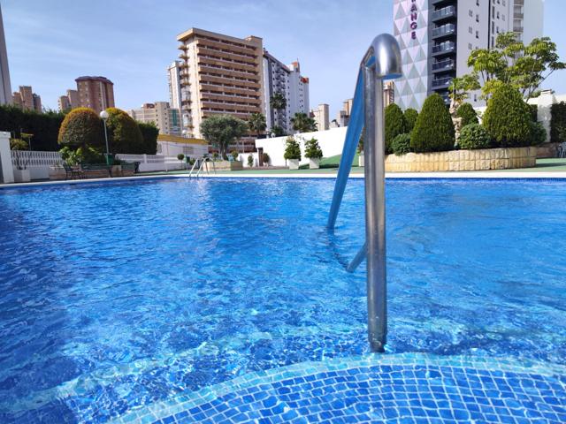 PISO 2 DORMITORIOS LEVANTE photo 0