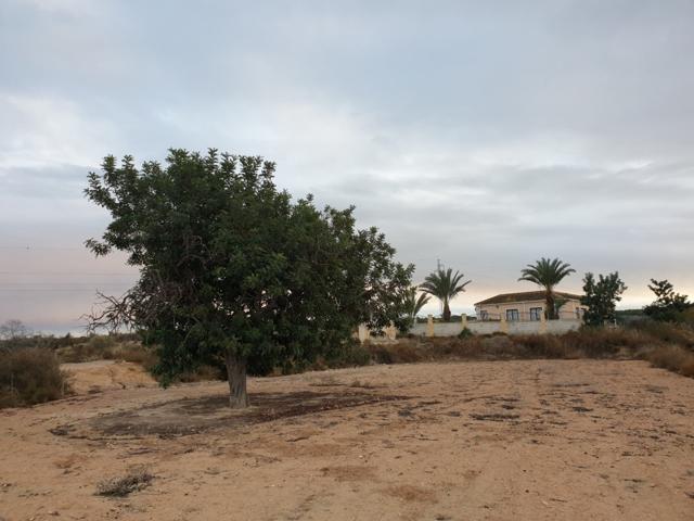 TERRENO EN EL MOLAR ( ZONA LA MARINA ) photo 0
