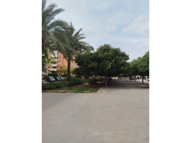 Carolinas-Boulevard-Lerida photo 0