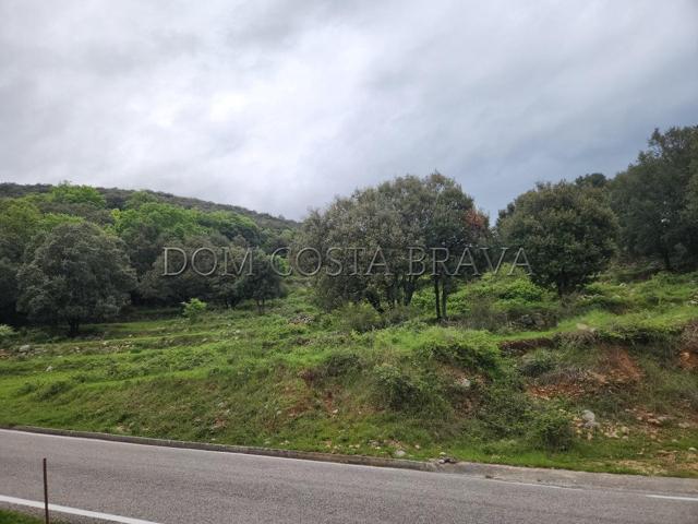 Suelo rústico - Oix photo 0