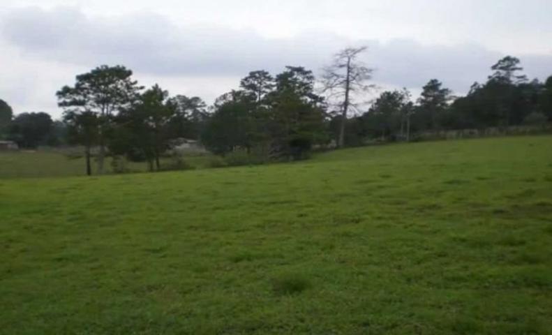 VENTA JUNTA O SEPARADA, 20 HECTAREAS photo 0