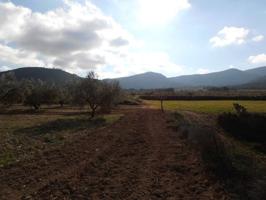 FINCA EN VENTA photo 0