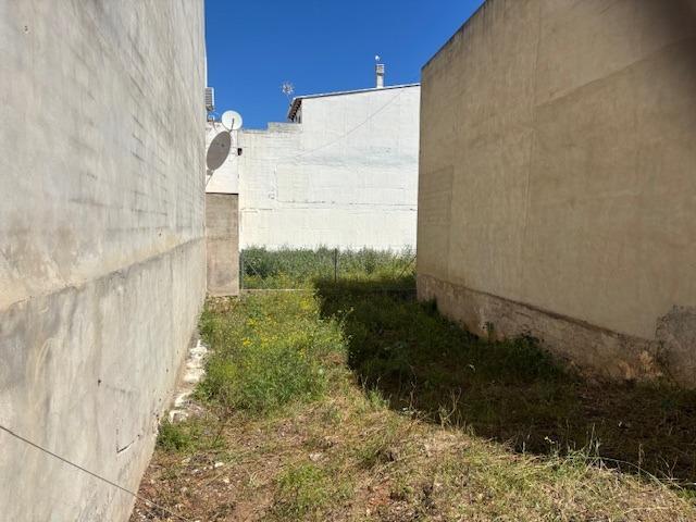 **Se Vende Solar en Vilamarxant** photo 0