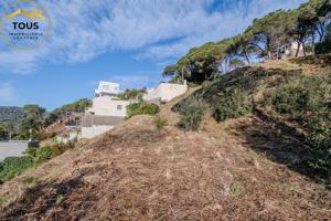 TERRENO EN DOSRIUS. photo 0