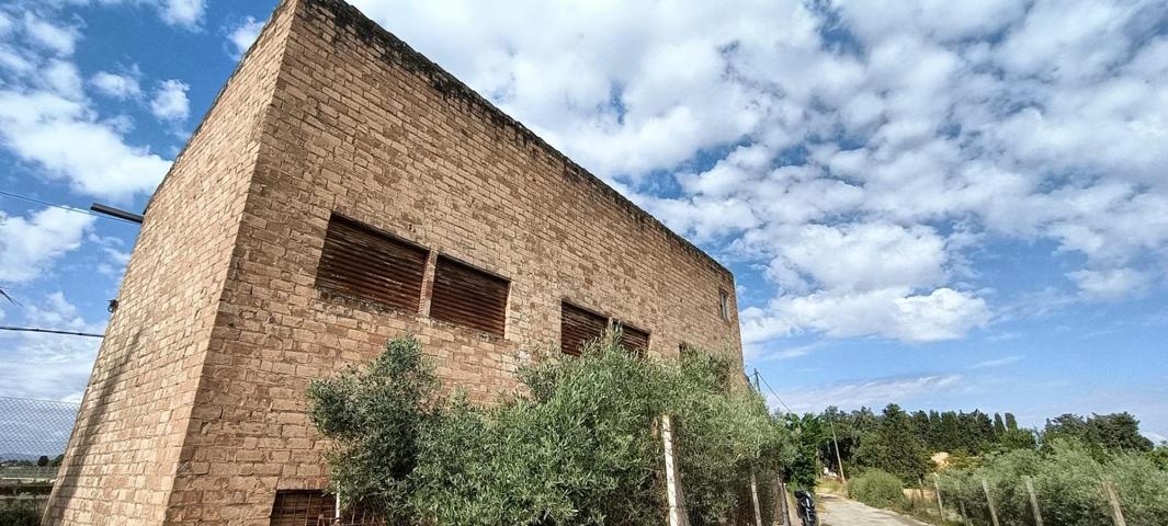 PARCELA AGRICOLA photo 0
