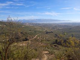 Parcela con vistas a la majestuosa Sierra de la Alfaguara photo 0