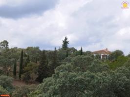 Su chalet en Dehesa Campoamor photo 0