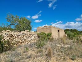 finca rustica con caseta, ametlla de mar photo 0