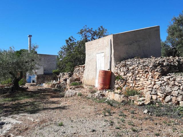 bonita finca rustica con dos casetas, cercla del pueblo y playa, l'ametlla de mar photo 0