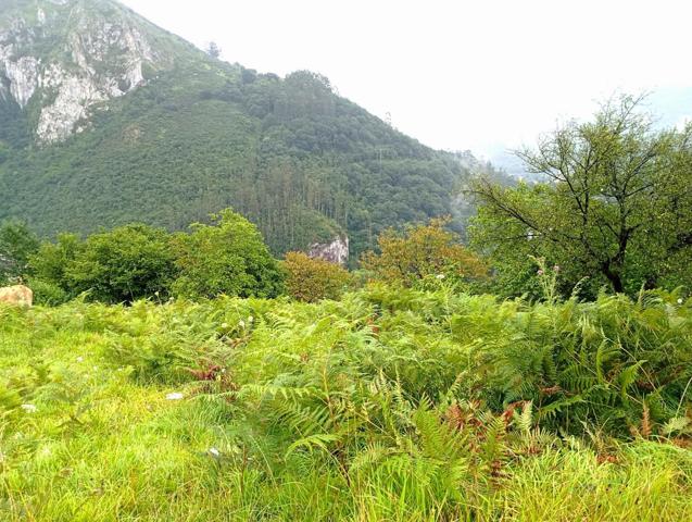 Terreno Urbanizable En venta en Caserío Arquera, Pol. 89, P, Puerto - Las Caldas, Oviedo photo 0