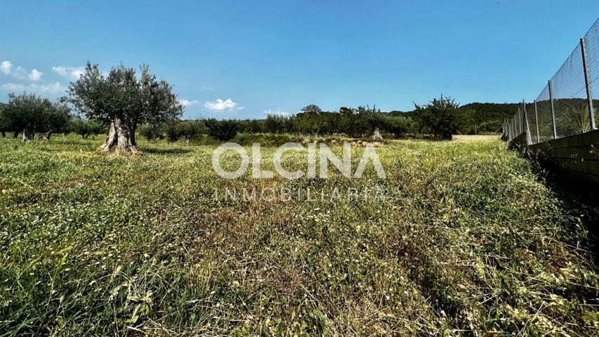 Terreno Urbanizable En venta en Els Plans, Ibi photo 0