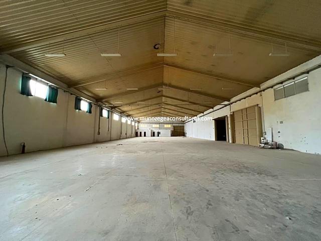 Nave Industrial en alquiler en Lucena de 4900 m2 photo 0