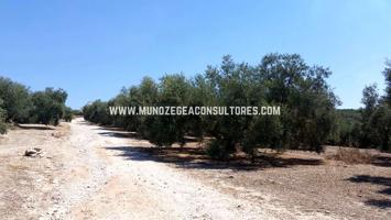 Finca Rústica en venta en Lucena de 9960 m2 photo 0