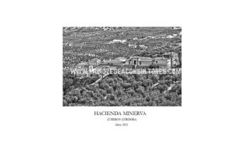 Edificio en venta en Zuheros de 4122 m2 photo 0