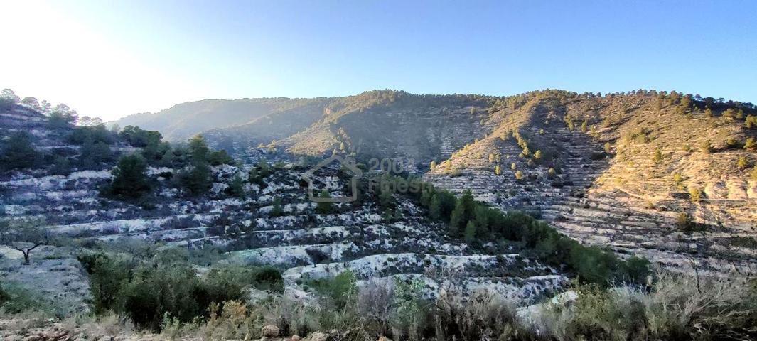 TERRENO DE 57.000 M2 EN RELLEU, POSIBILIDAD DE HACER UNA CASA. photo 0