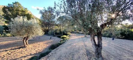 TERRENO RUSTICO PARA CONSTRUIR UNA CASA EN RELLEU. photo 0