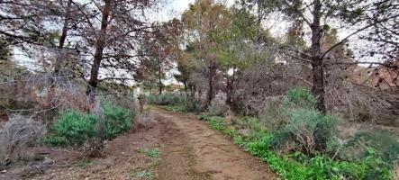 TERRENOS URBANOS 700 Y 750 M2 EN SIERRA CORTINA, FINESTRAT. photo 0