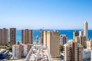 ESTUDIO CON VISTAS AL MAR EN BENIDORM LEVANTE photo 0