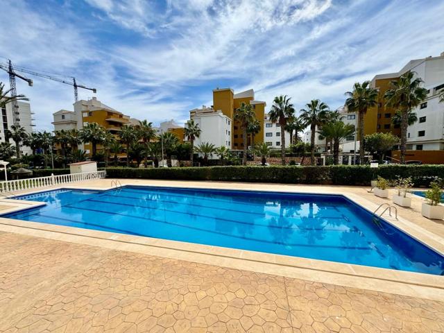 APARTAMENTO EN PUNTA PRIMA, 1 DORMITORIO, TERRAZA Y PISCINA COMUNITARIA! photo 0