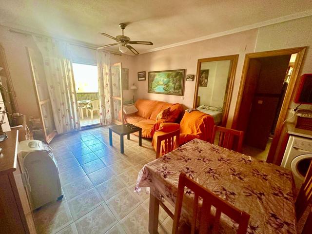 APARTAMENTO EN VIÑAMAR II, LA MATA, 1 DORMITORIO, GRAN TERRAZA Y PISCINA COMUNITARIA photo 0