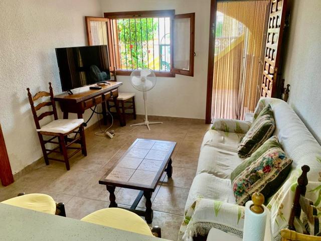 APARTAMENTO BAJO CON GRAN PATIO Y TRASTERO EN EDIFICIO MÉXICO, LA MATA photo 0