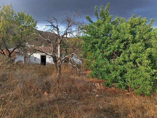 CORTIJO EN BARRIADA DE LOS PINOS photo 0