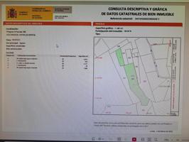 TERRENO EN EL REAL DE ANTAS photo 0