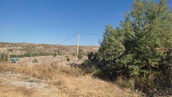 FINCA RUSTICA EN PARAJE SANTA MARIA DE NIEVA photo 0