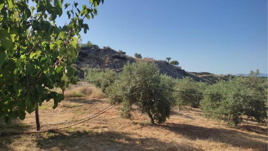 FINCA RUSTICA EN PARAJE SANTA MARIA DE NIEVA photo 0