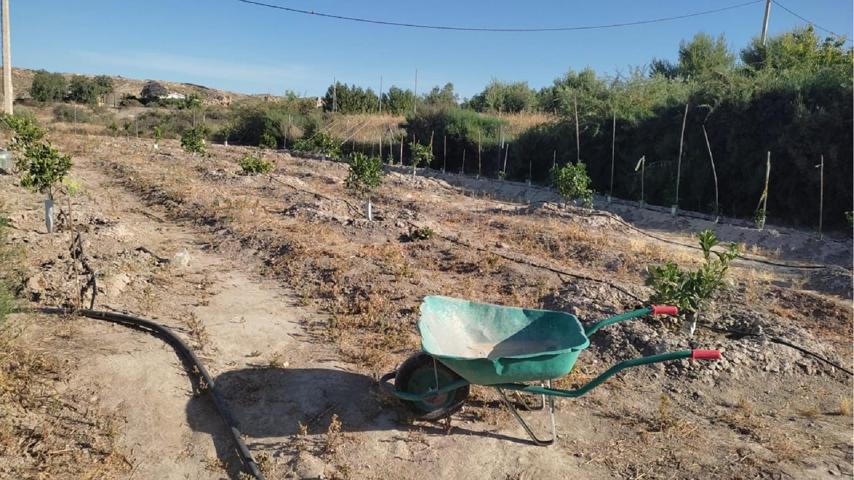 FINCA RUSTICA EN PARAJE SANTA MARIA DE NIEVA photo 0