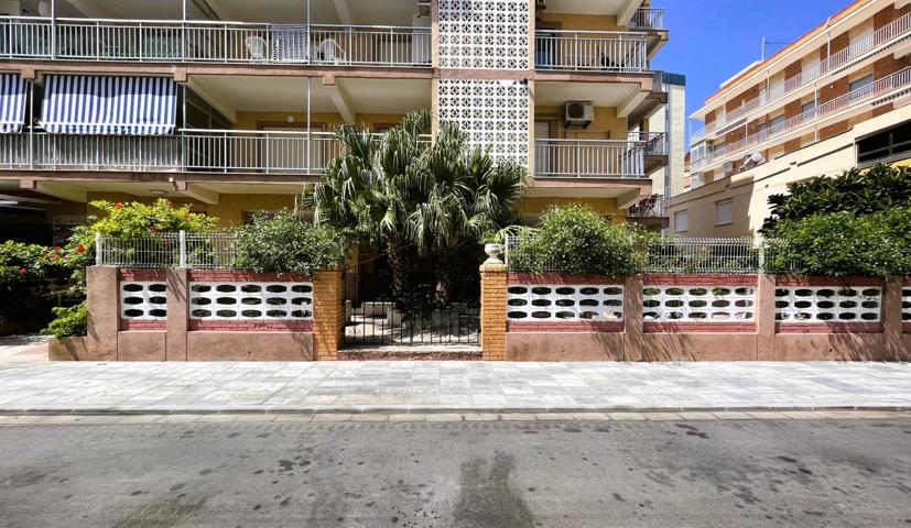 PLANTA BAJA CON GRAN TERRAZA EN LA PLAYA DE GANDIA photo 0