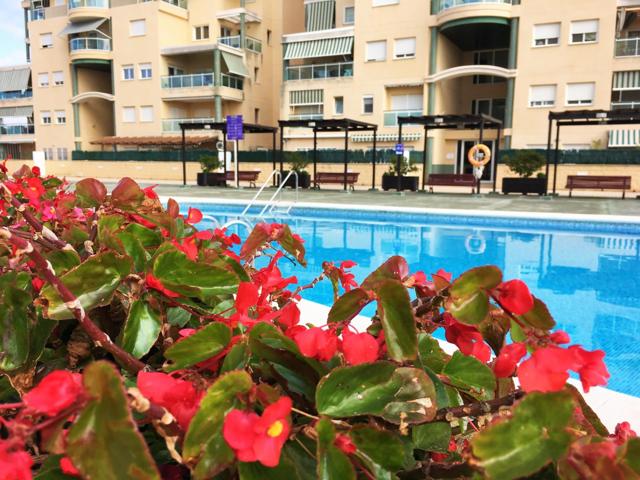 Espectacular tríplex en Residencial Les Foies – Grau de Gandía photo 0