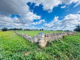 Terreno Urbanizable En venta en Manacor, Manacor photo 0