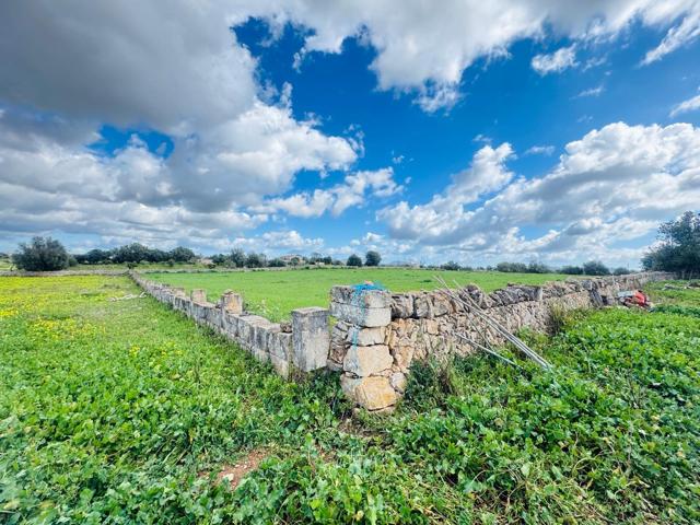 Terreno Urbanizable En venta en Manacor, Manacor photo 0