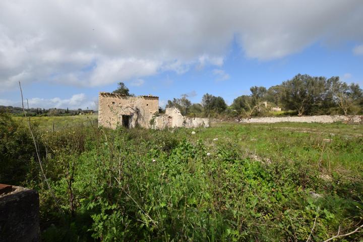 Encantador Terreno Urbanizable entre Lloret de Vista Alegre y Sineu photo 0
