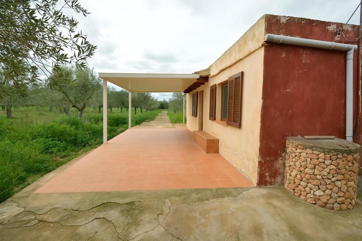 LA CASA DE LOS OLIVOS EN STA EUGENIA photo 0