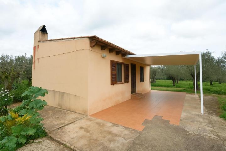 LA CASA DE LOS OLIVOS EN STA EUGENIA photo 0