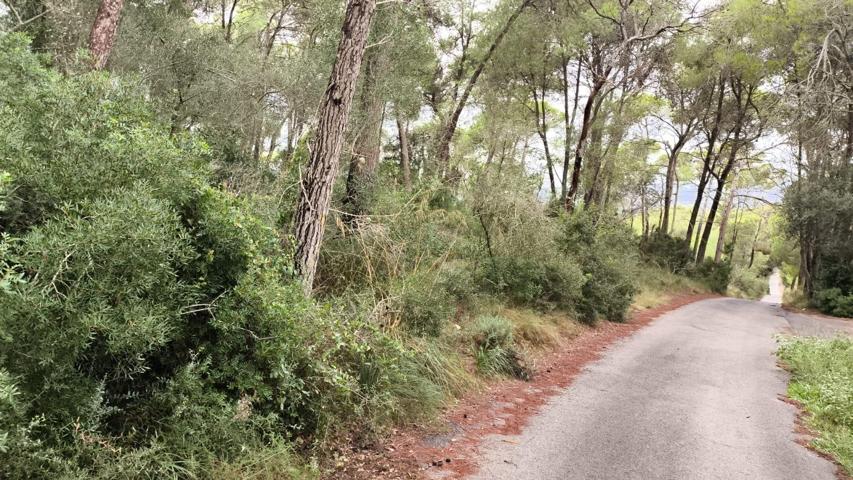 Fantástico terreno cerca de Felanitx. photo 0