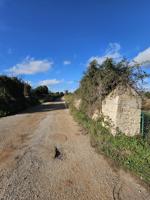 Terreno rústico con pozo legal entre S’Horta y Porto Colom photo 0